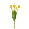 Bouquet Of 5 Yellow Tulips