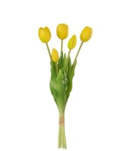 Bouquet Of 5 Yellow Tulips