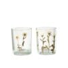 Hurricane Flower Daisy 2 Assorted