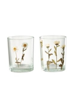 Hurricane Flower Daisy 2 Assorted