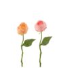Peony Artificial 2 Assorted