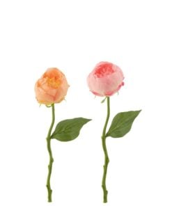 Peony Artificial 2 Assorted