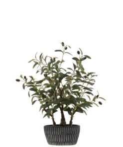 Olive Tree Cement Pot Artificial