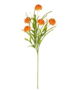 Branch Chrysanth