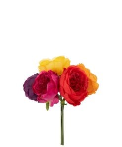 Cabbage Rose Bundle