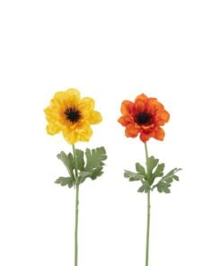 Anemone Stem 2 Assorted