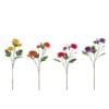 Dahlia Ying Arti 4 Assorted