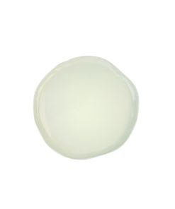 Tam Stoneware Dinner Plate Tam Stoneware Dinner Plate