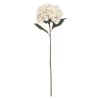 Pink Hydrangea Stem H83