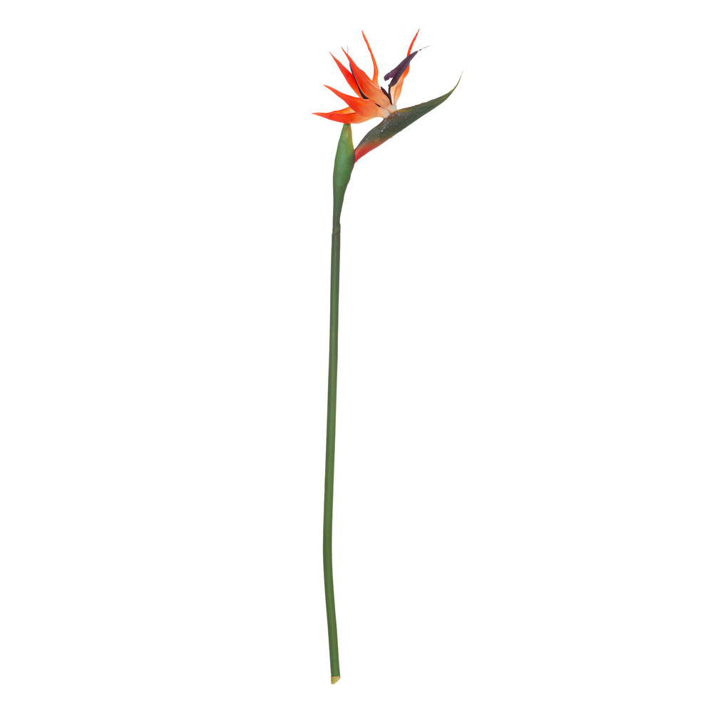 I129618 Bird Of Paradise Stem H83