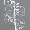 White Glittered Curly Branch