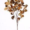 Branch W/Golden Leaves