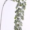 6/120-117 Green Hanging Branch