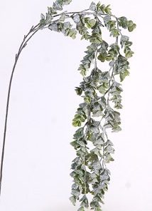 6/120-117 Green Hanging Branch