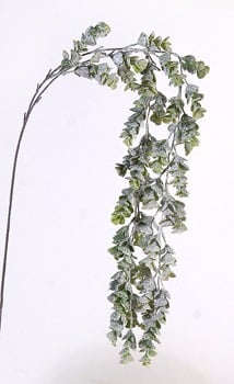 6/120-117 Green Hanging Branch 6/120-117 Green Hanging Branch