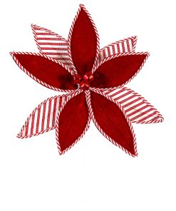 Branch Red Flower & Whstripes