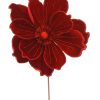 Deep Red Magnolia Flower