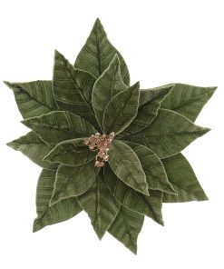 Slate Green Velvet Poinsetia