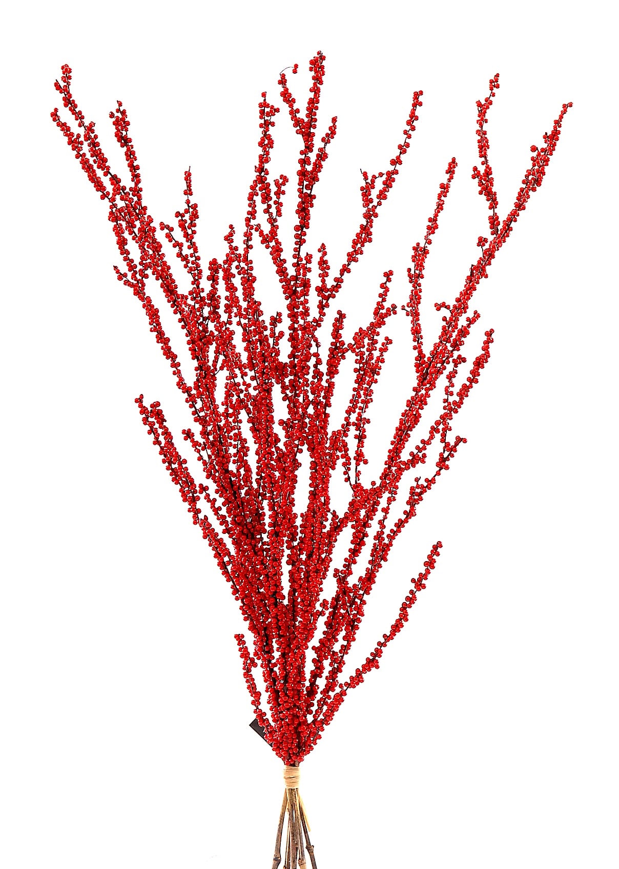 12/24-89Cm Red Branch 12/24-89Cm Red Branch