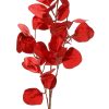 Branch W/Red Leaves