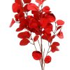 Branch W/Red Leaves