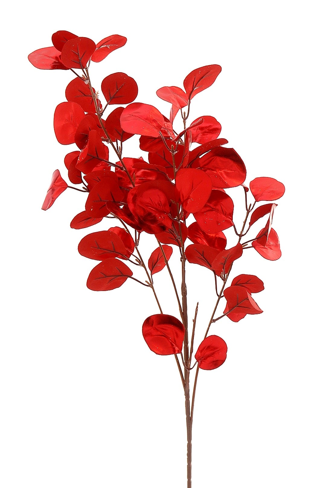 Branch W/Red Leaves Branch W/Red Leaves