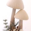 Brown-White Double Mushrooms