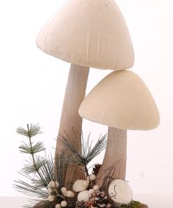 Brown-White Double Mushrooms