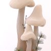 Brown-White Mushrooms