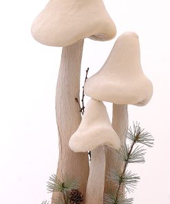 Brown-White Mushrooms