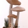 Brown Mushrooms W/Pincones