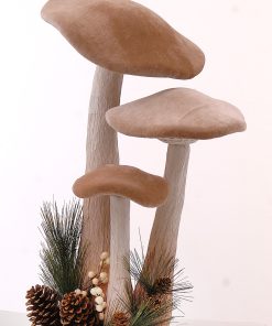 Brown Mushrooms W/Pincones