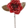 Red Iced Magnolia Flower