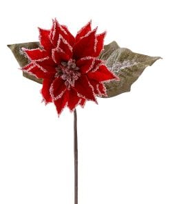 Red Iced Poinsetia Flower