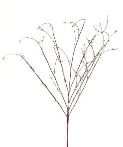 Gold Branch W/Crystals 48-288