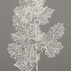 White Branch W/Leaves