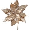 Shiny Champagne Poinsetia