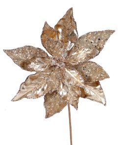 Shiny Champagne Poinsetia
