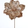 Champagne Poinsetia Flower