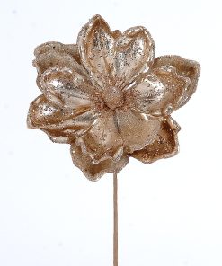 Champagne Poinsetia Flower