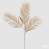 Areca Palm Branch