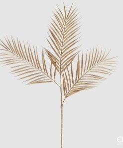 Areca Palm Branch