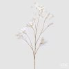 Nerina Stem-Gold Branch Nerina Stem-Gold Branch