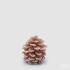 Pine Cone Candle H.9.5 D.9 Pine Cone Candle H.9.5 D.9