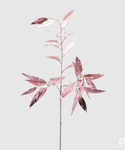 Eucalyptus Metal Branch