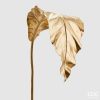 Asplenium Metal Leaf H135