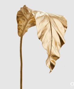 Asplenium Metal Leaf H135