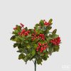 Lentisk Brush C/Berries H30