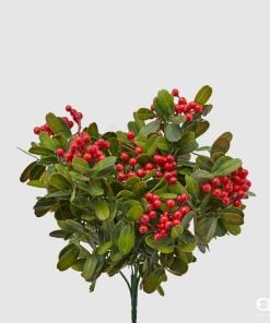 Lentisk Brush C/Berries H30