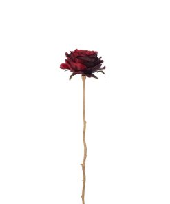 Rose Single Spr Pl Red/Gold S